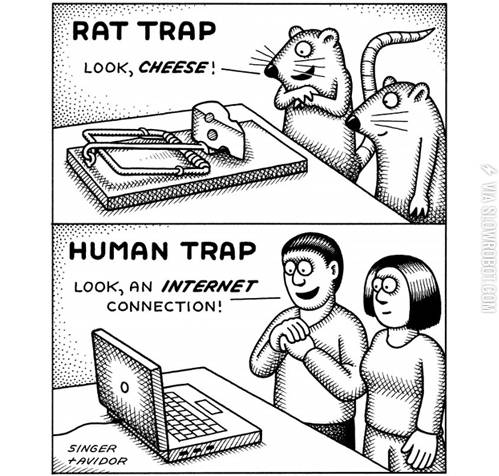 Rats+vs.+Humans.
