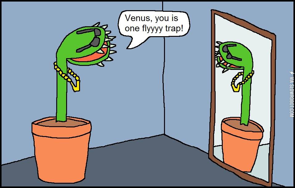 The+venus+flyyyy+trap.