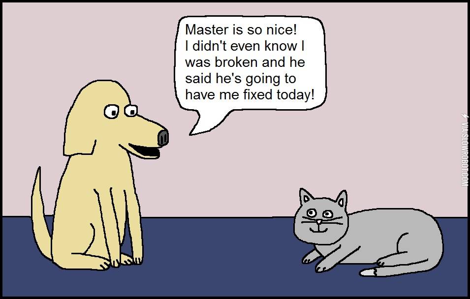 Man%26%238217%3Bs+best+friend.