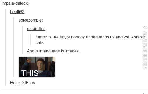 Tumblr+in+a+nutshell