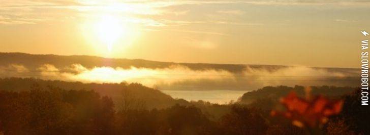 Why+are+you+still+on+the+internet%3F