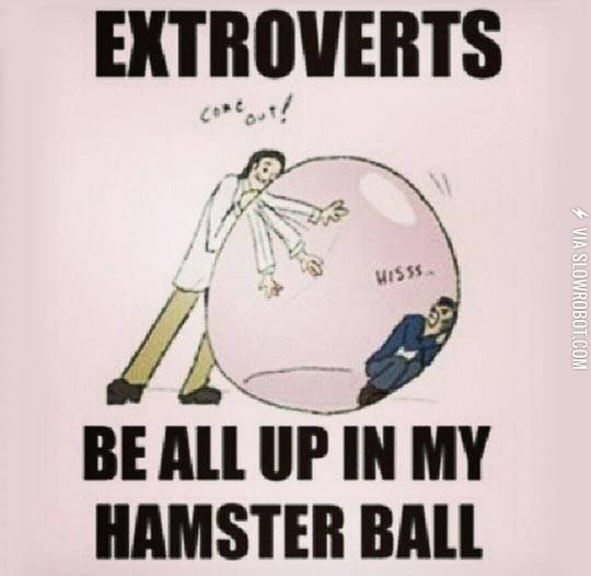 Extroverts+be+all+up+in+my+hamster+ball