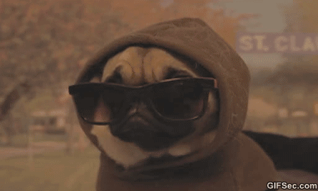 Hiding+my+hangover+with+sunglasses+and+a+hoodie.