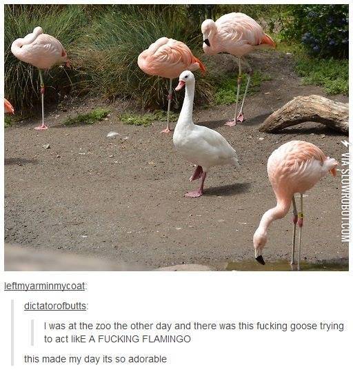 They+suspect+nothing%21