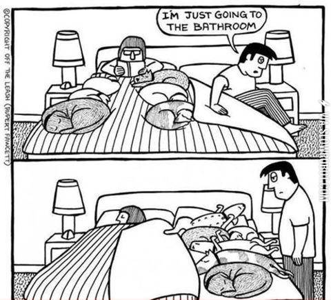 If+you+have+pets%2C+this+probably+happened+to+you