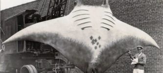 5%2C000+pound+great+manta+caught+in+1933%2C+New+Jersey
