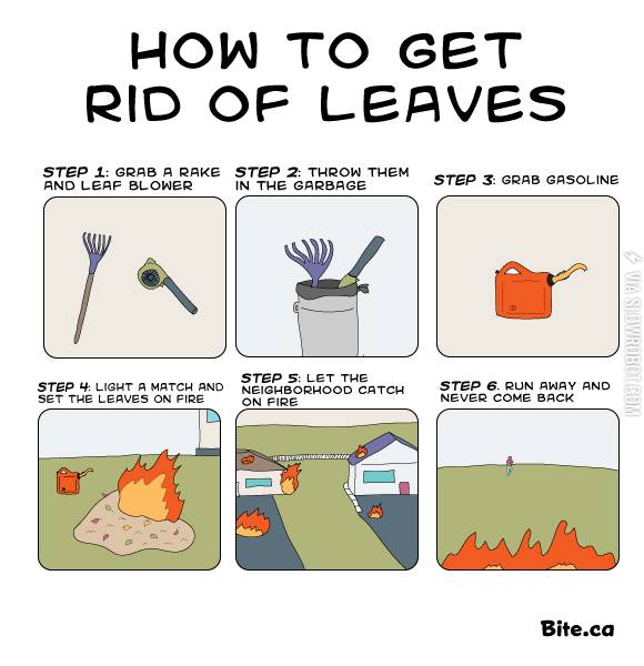 How+to+get+rid+of+leaves.