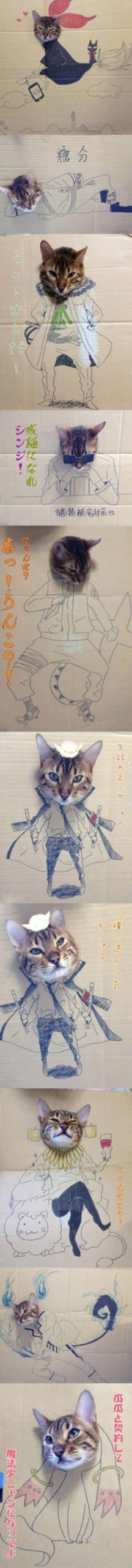 Cats+in+cardboard.