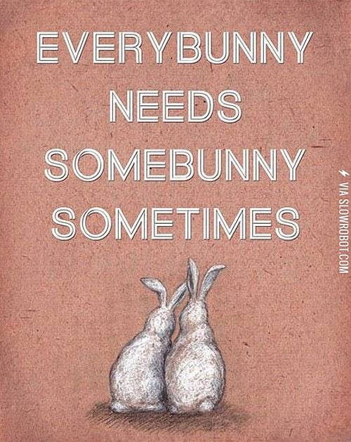 Everybunny+needs+somebunny+sometimes.
