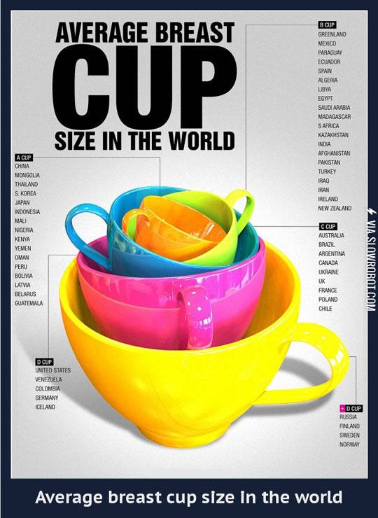 Average+cup+size.