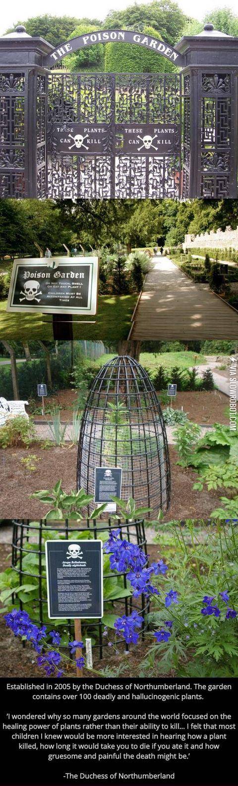 The+poison+garden