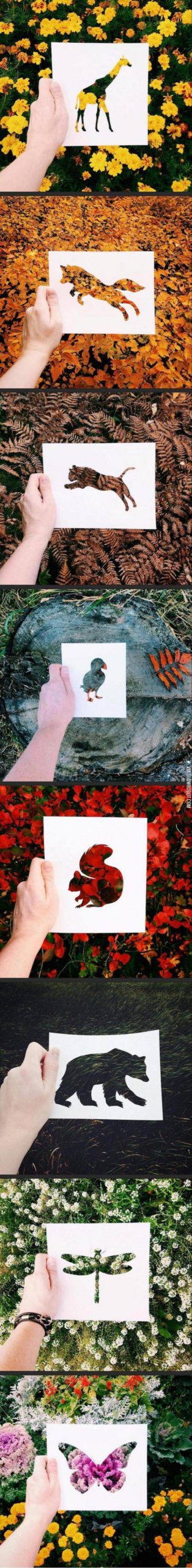 Cutouts+against+natural+colors