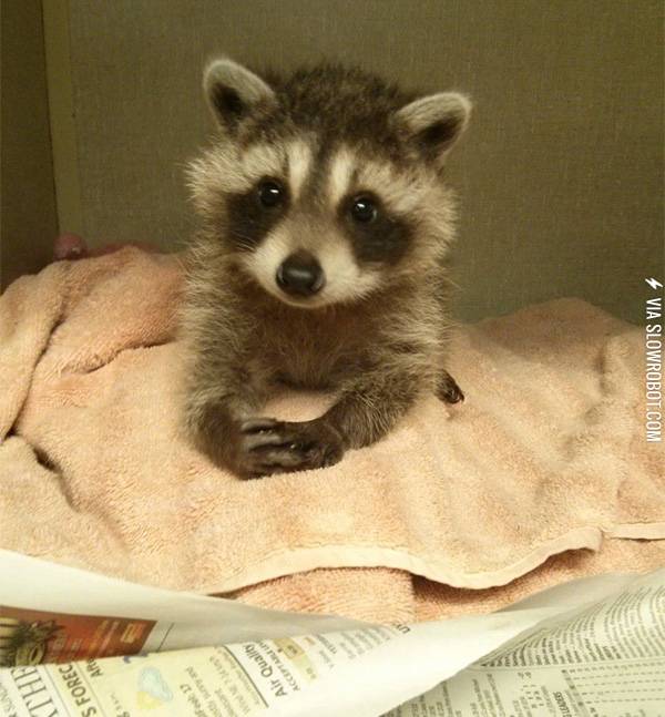 Oh+you+had+a+bad+day%2C+tell+me+all+about+it