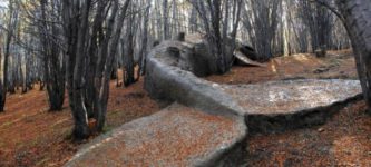 A+weird+whale+statue+in+the+middle+of+a+forest+in+Argentina