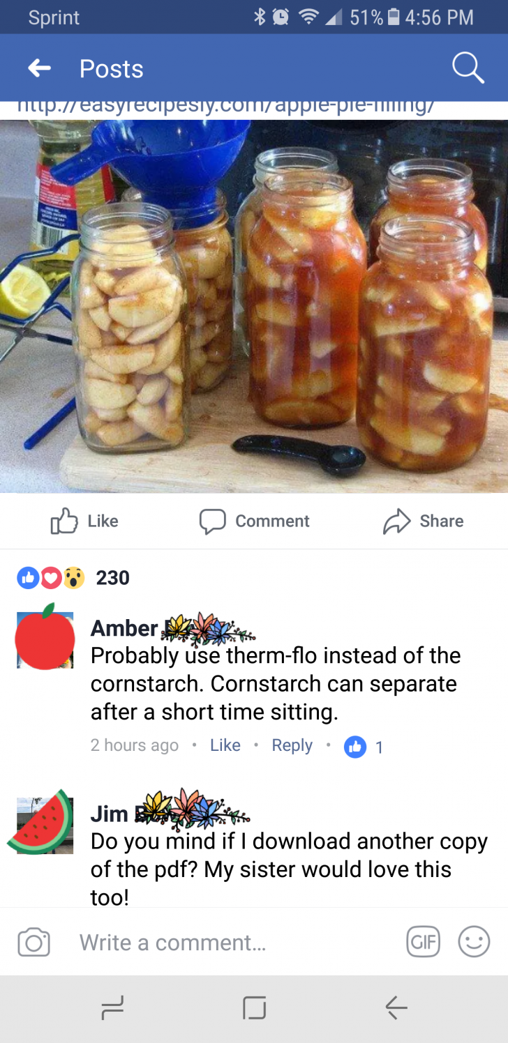 No%2C+Jim.+You+only+get+one+PDF.