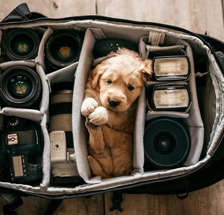 I%26%238217%3Bm+the+cutest+camera.