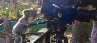 Is+he+even+koalalified+to+operate+that+camera%3F