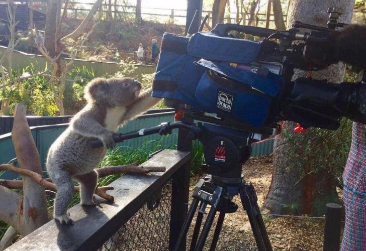 Is+he+even+koalalified+to+operate+that+camera%3F