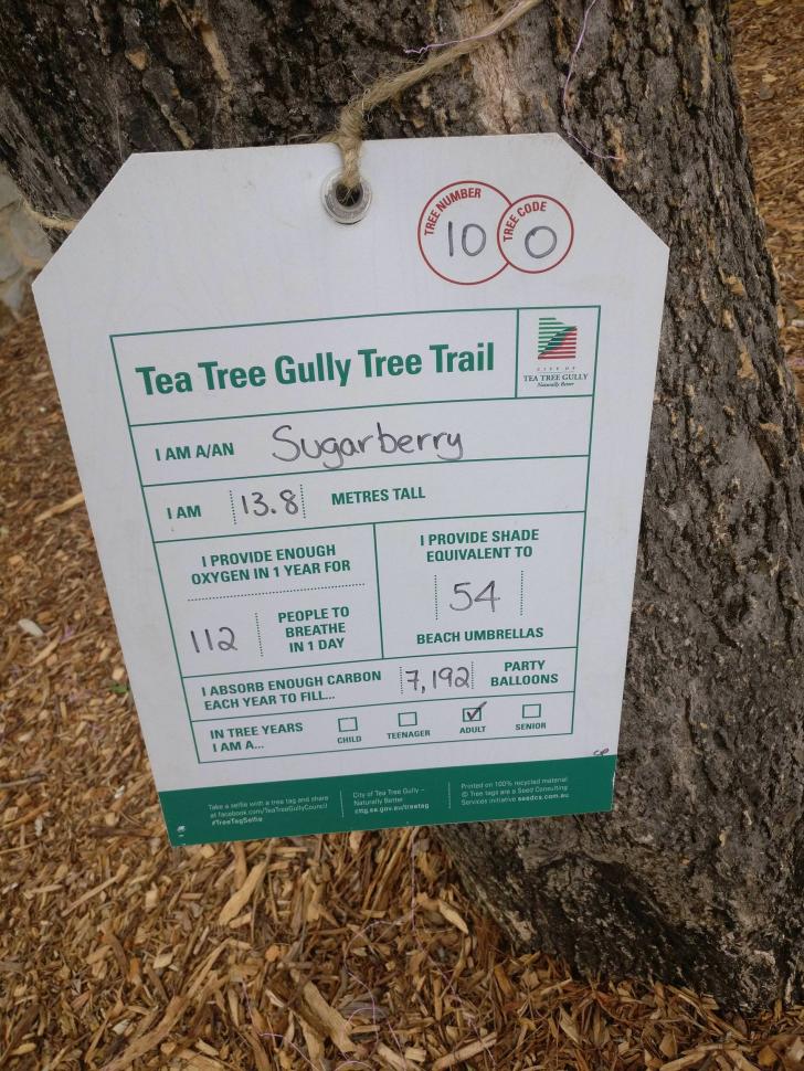 The+local+council+has+info+cards+on+the+trees+in+the+park%26%238230%3B