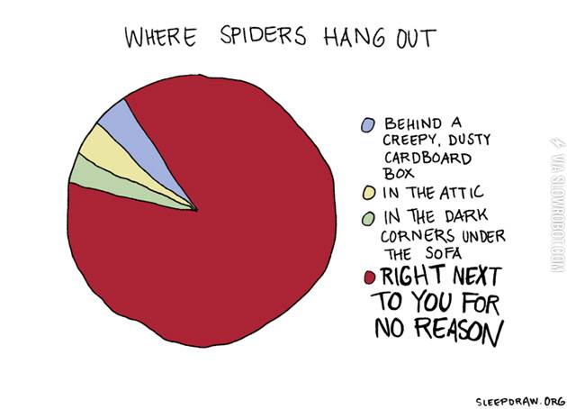 Where+spiders+hang+out.