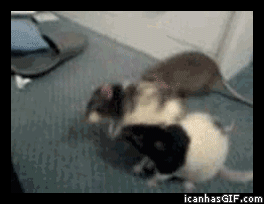 Wait%2C+what+were+we+fighting+about%3F