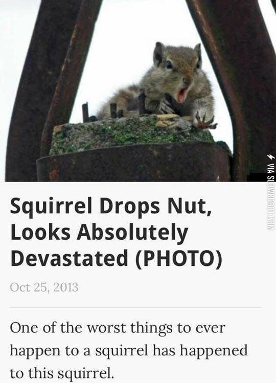 This+poor+little+guy