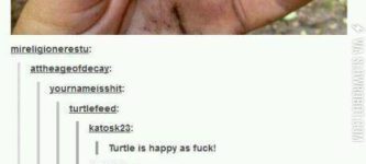 A+happy+turtle%21%21