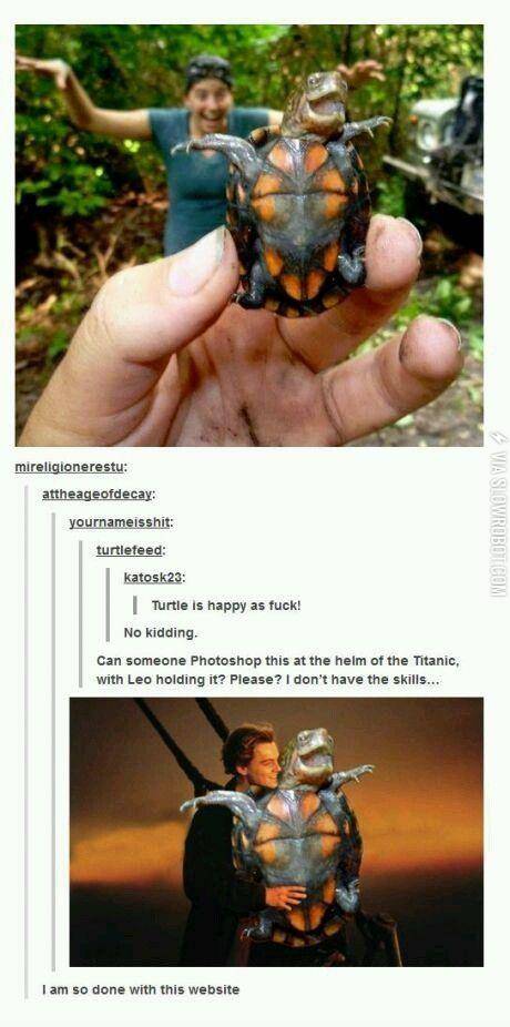 A+happy+turtle%21%21