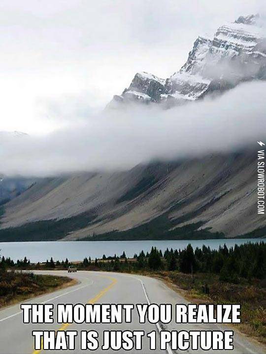 It+Fooled+My+Brain+Too