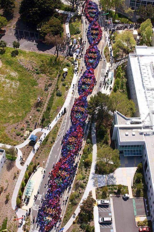 2600+People+Form+A+Chain+To+Celebrate+The+Anniversary+Of+DNA
