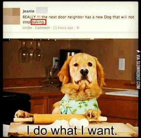 The+Neighbor%26%238217%3Bs+Dog+Is+Special