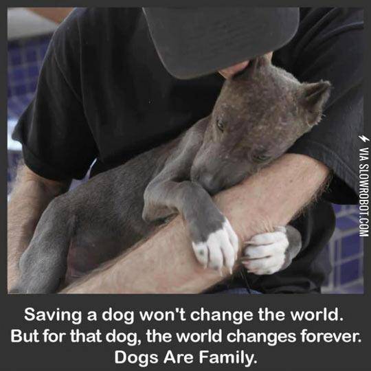Saving+A+Dog