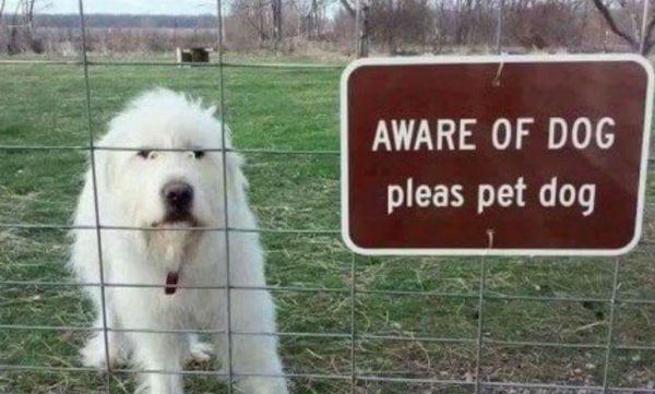 Pretty+sure+the+dog+made+the+sign