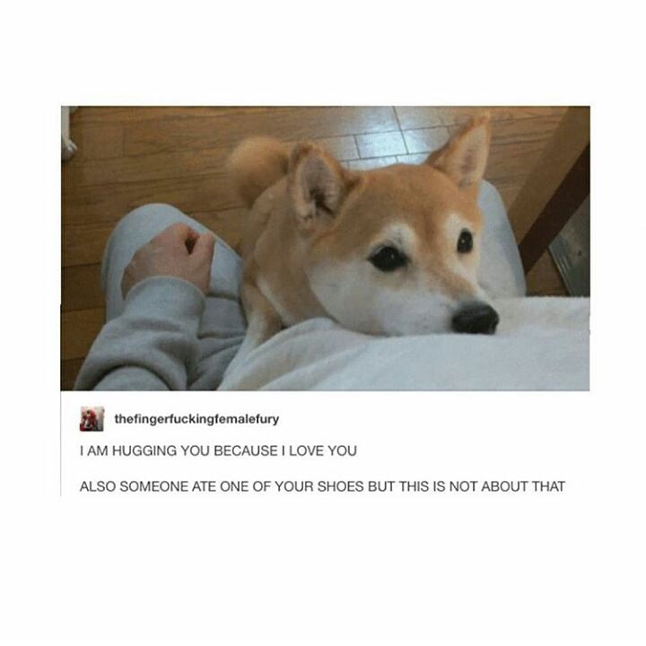 Wait+till+you+find+the+shoes