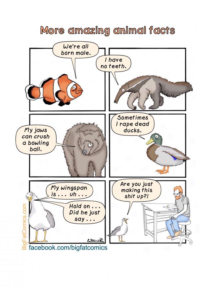 More+amazing+animal+facts%21