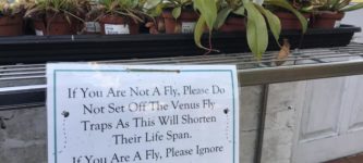 A+warning+about+setting+off+Venus+Flytraps