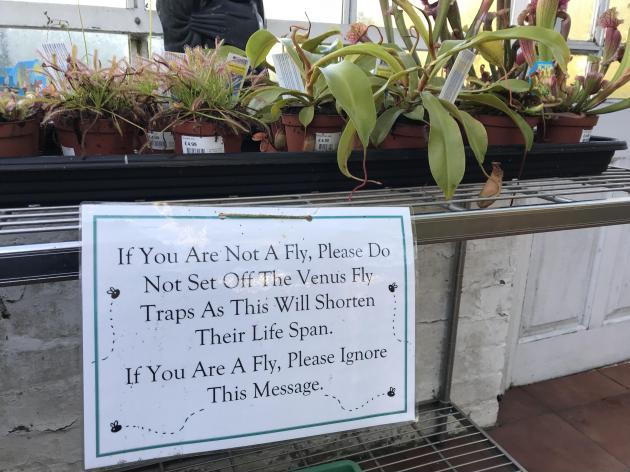 A+warning+about+setting+off+Venus+Flytraps