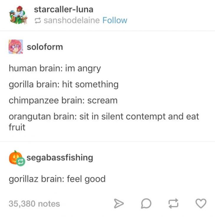 Primate+Brain