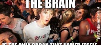 The+brain+is+the+only+organ+that+named+itself.