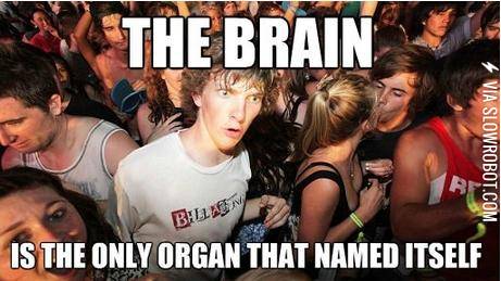 The+brain+is+the+only+organ+that+named+itself.