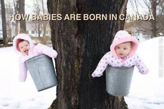How+babies+are+born+in+Canada.