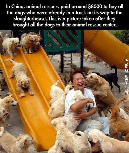 This+Picture+Made+My+Day