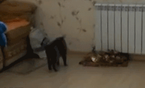 LoOk+At+Me+I%26%238217%3Bm+A+hUmAn