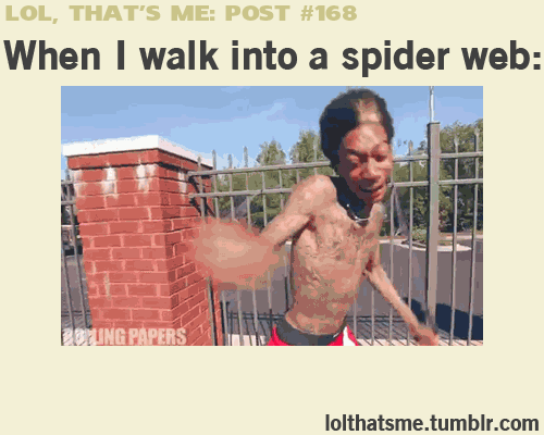 When+I+walk+into+a+spider+web.