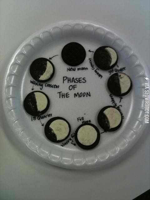 Phases+of+the+moon.