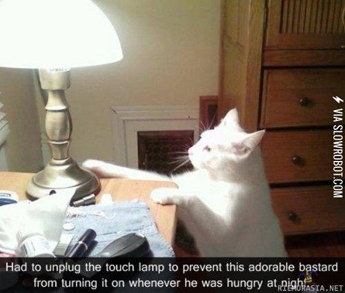 This+adorable+bastard