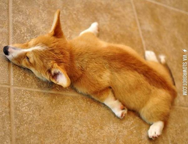 Long+day+at+the+park.