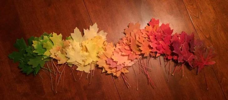 The+rainbow+of+autumn