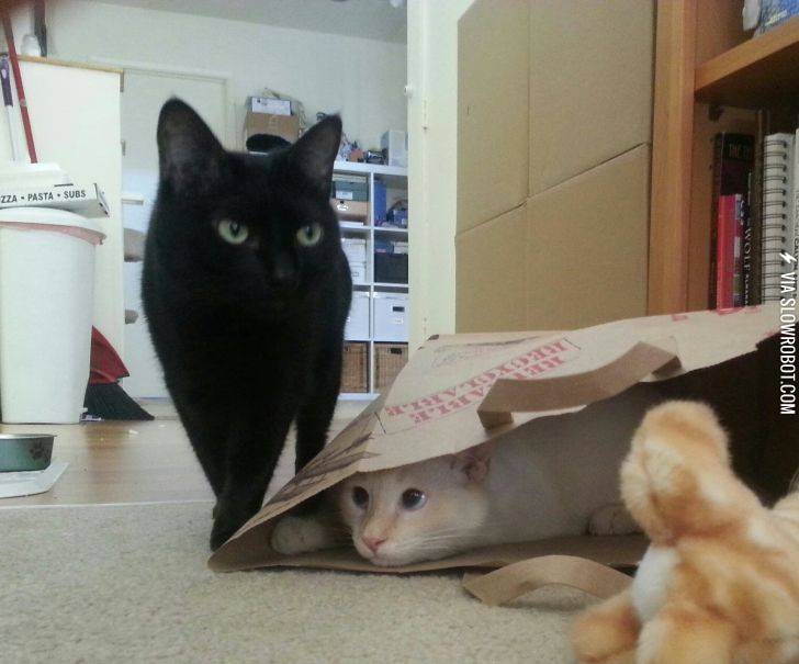 She+suspects+nothing%26%238230%3B