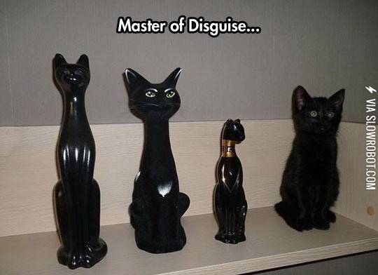 Master+of+disguise.